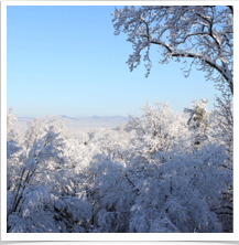 Roanoke Virginia - Snow